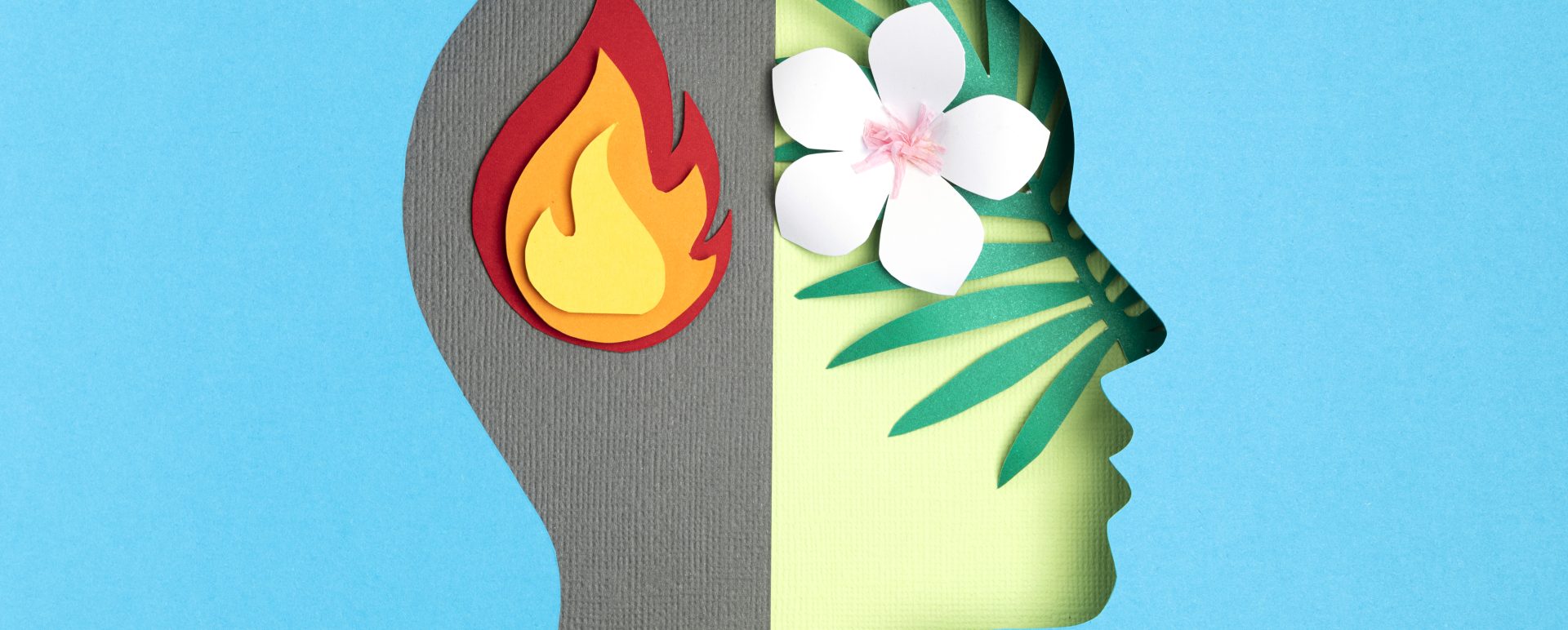 Papercut head, adult bipolar disorder concept. Mental health problems, psychology, mental illness